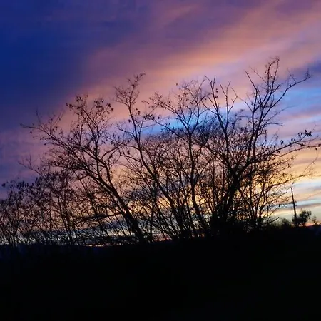 Saila Monolocale Marte *