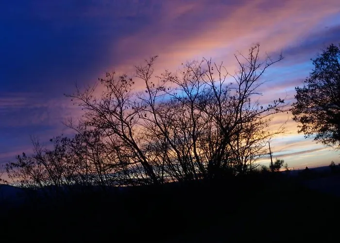 Saila Monolocale Marte *